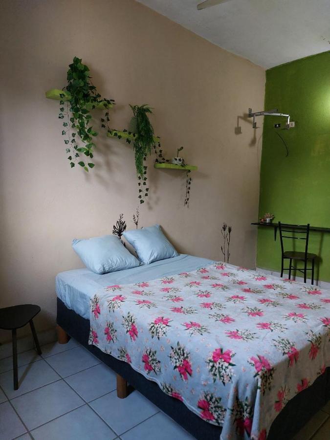 Cho Ku Rei Hostal San José del Cabo Екстериор снимка
