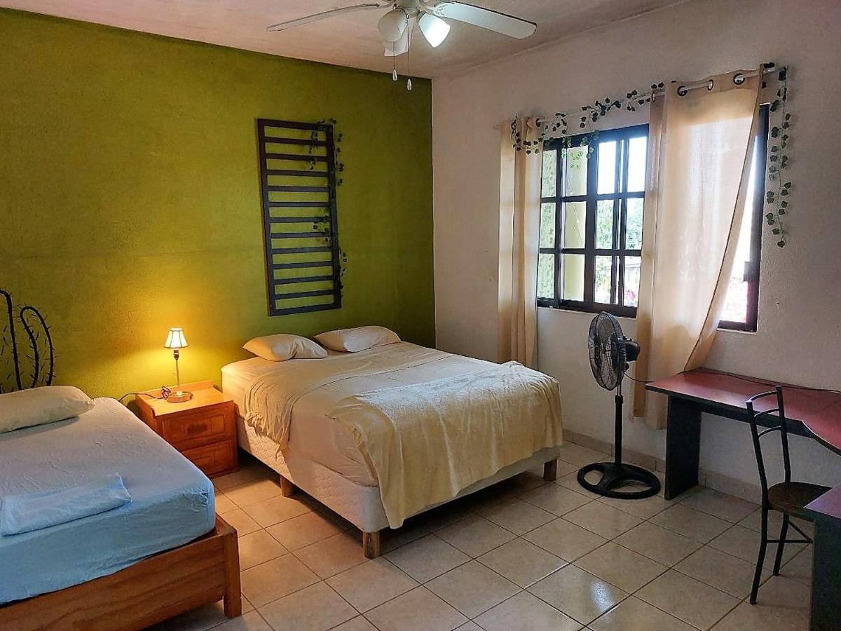 Cho Ku Rei Hostal San José del Cabo Екстериор снимка